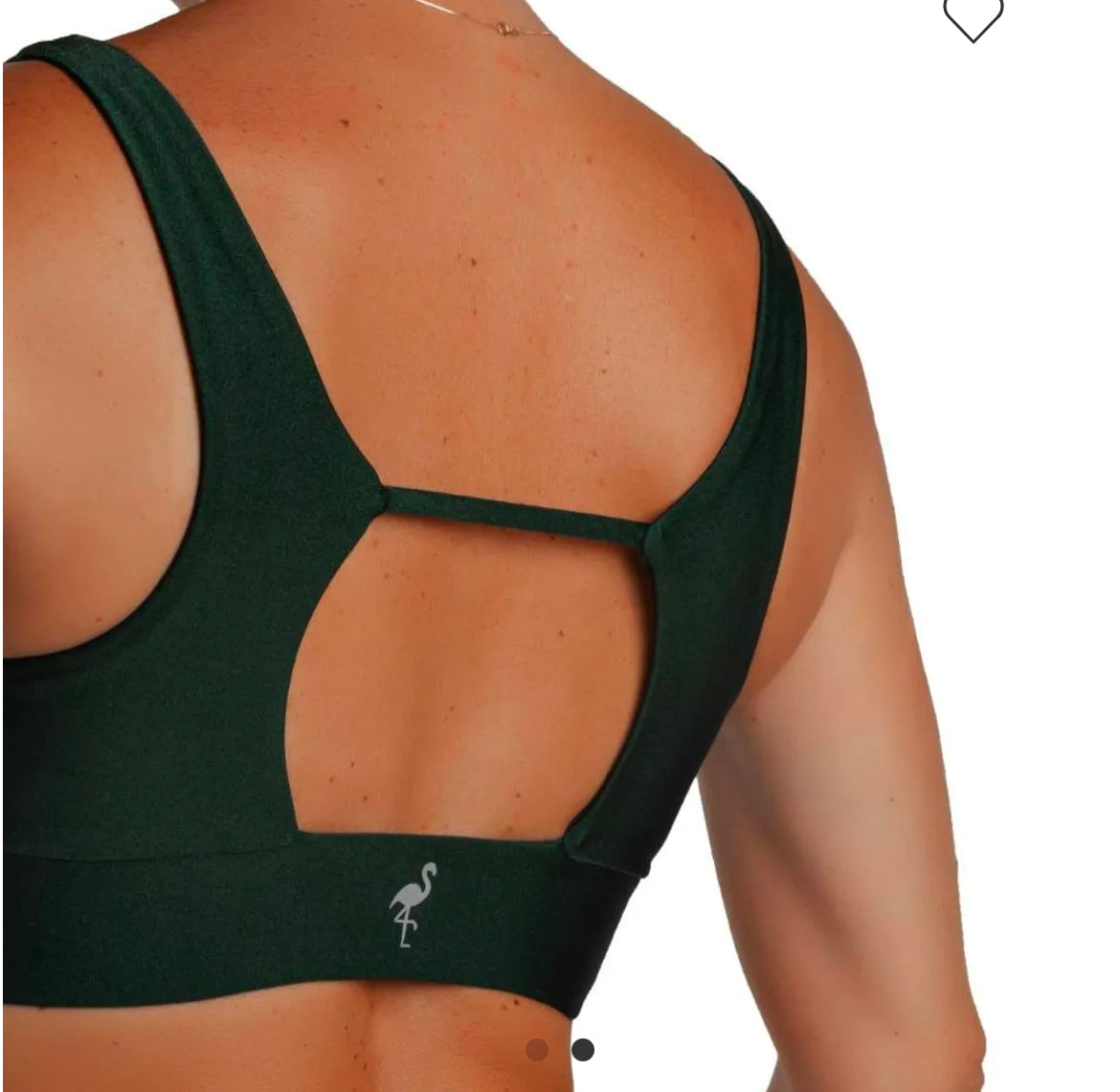 Top Live Glossy Bonsai